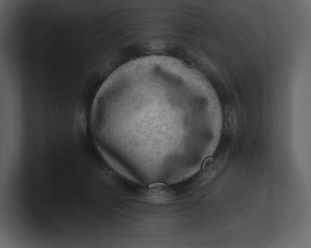 X0000100930562200807151246