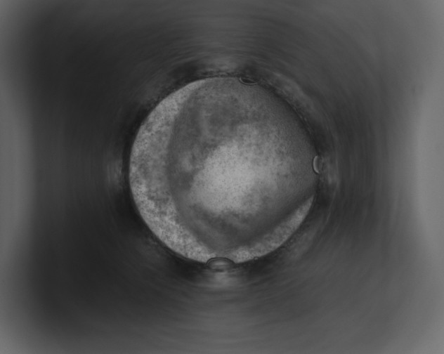 X0000100930564200807151246