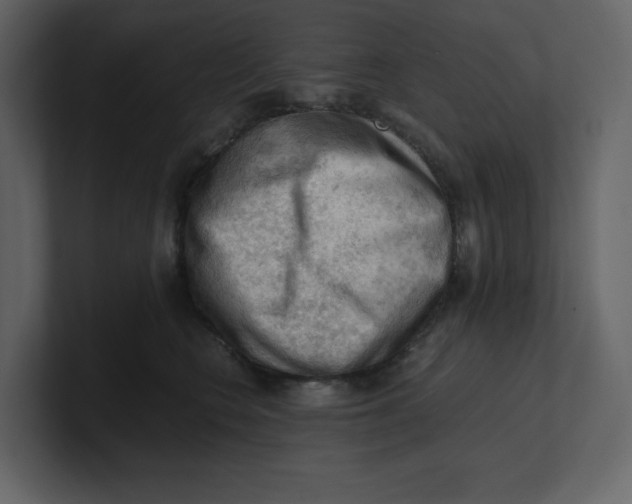 X0000100930566200807151246