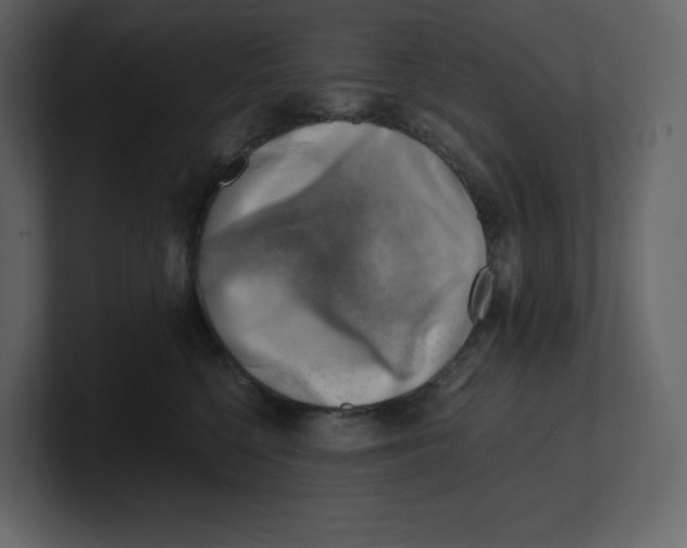 X0000100930568200807151247