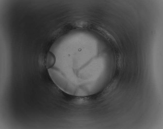 X0000100930569200807151247