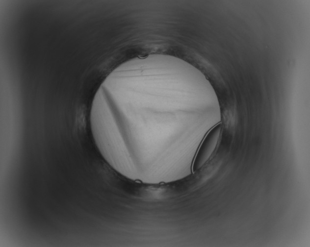 X0000100930570200807151247