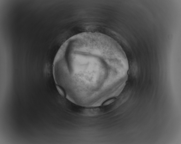 X0000100930571200807151247