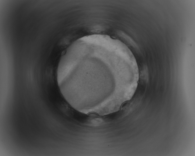 X0000100930572200807151247