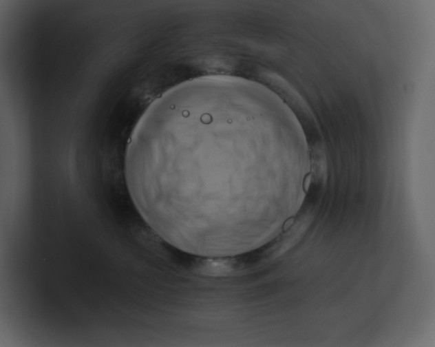 X0000100930573200807151247