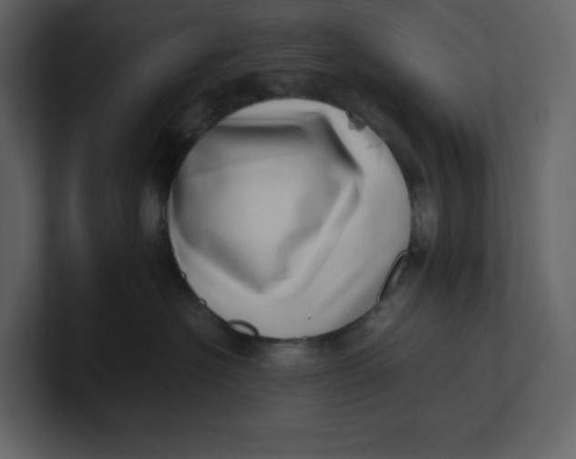 X0000100930574200807151247