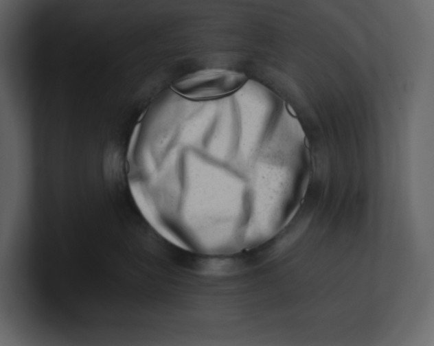 X0000100930575200807151247