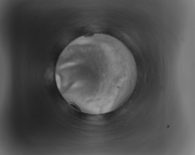 X0000100930576200807151247