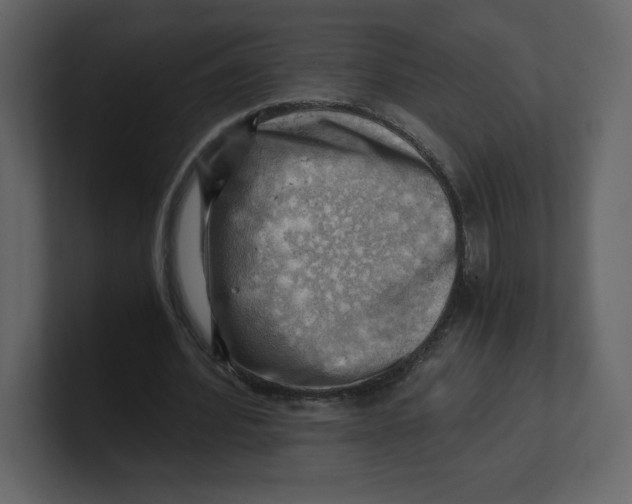 X0000100930580200807151246