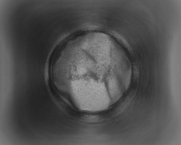 X0000100930582200807151246