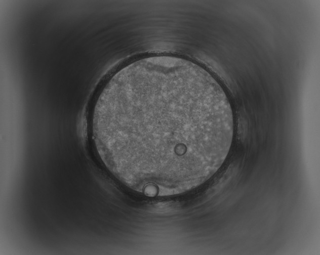 X0000100930584200807151246