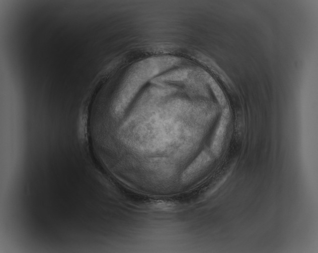 X0000100930585200807151246