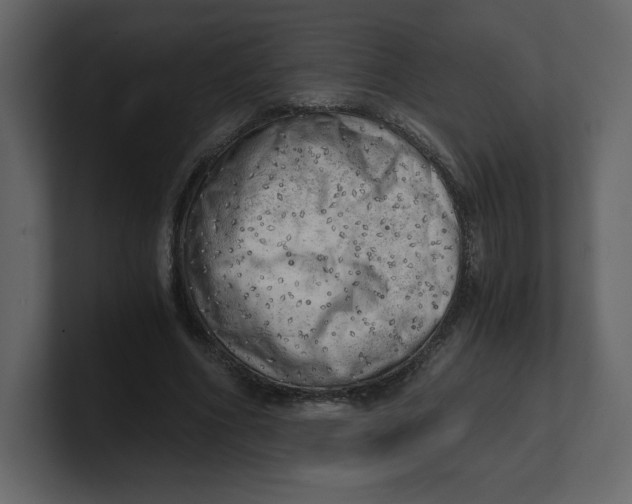 X0000100930586200807151246