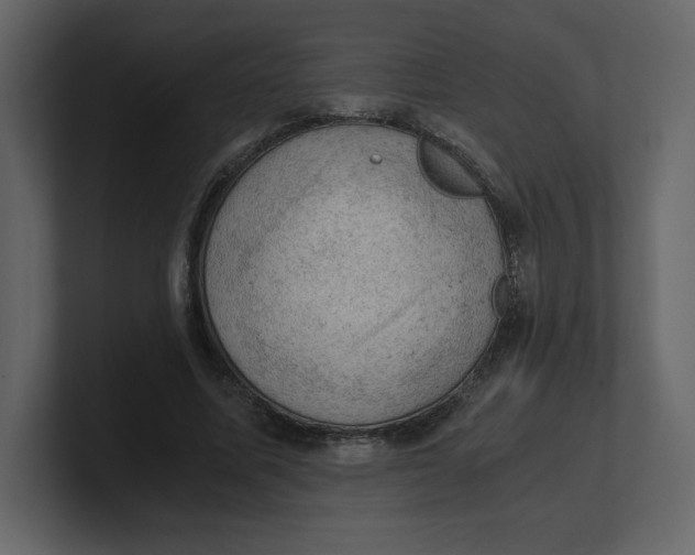 X0000100930587200807151246