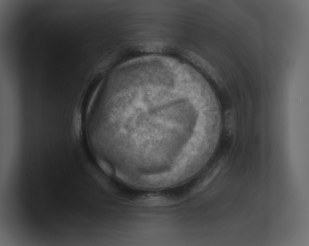 X0000100930589200807151246