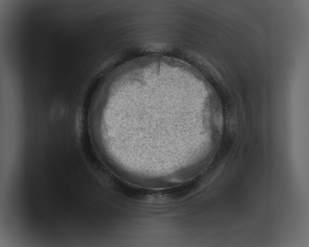 X0000100930591200807151246