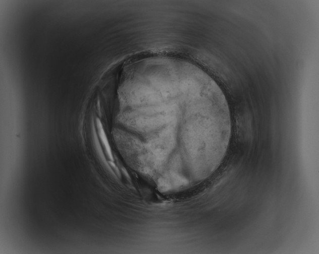 X0000100930592200807151246