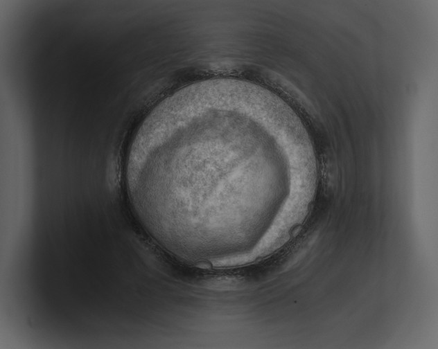 X0000100930593200807151246