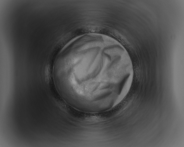 X0000100930594200807151246