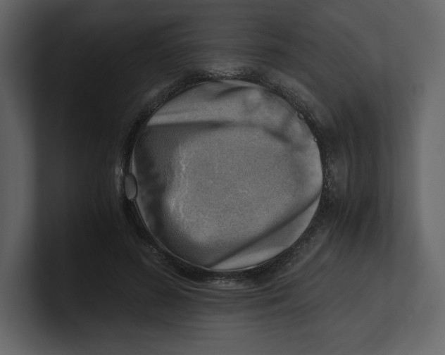 X0000100930596200807151246