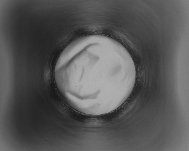 X0000100930597200807151246