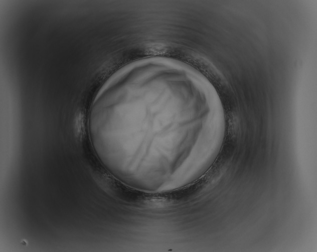 X0000100930598200807151246