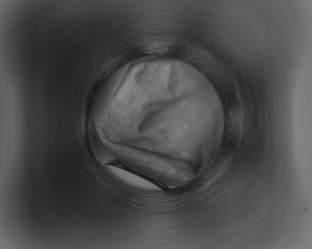 X0000100930600200807151246