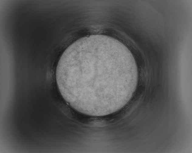 X0000100930601200807151246