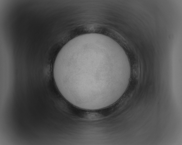 X0000100930605200807151246