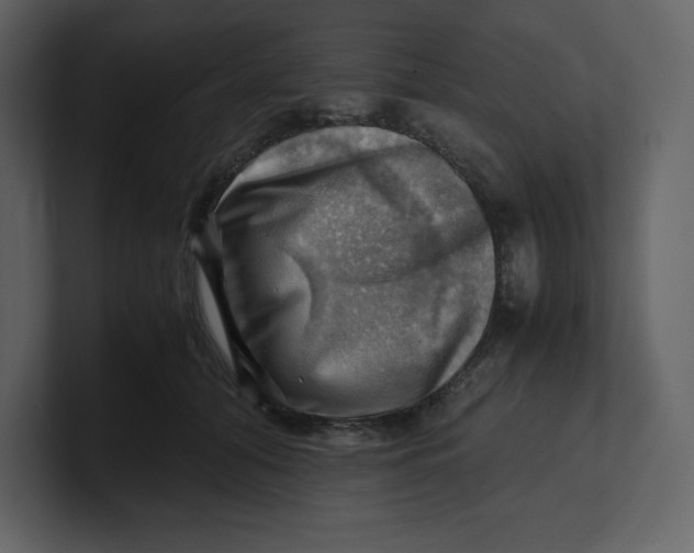 X0000100930608200807151245