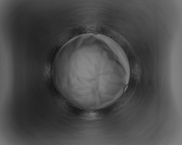 X0000100930610200807151245