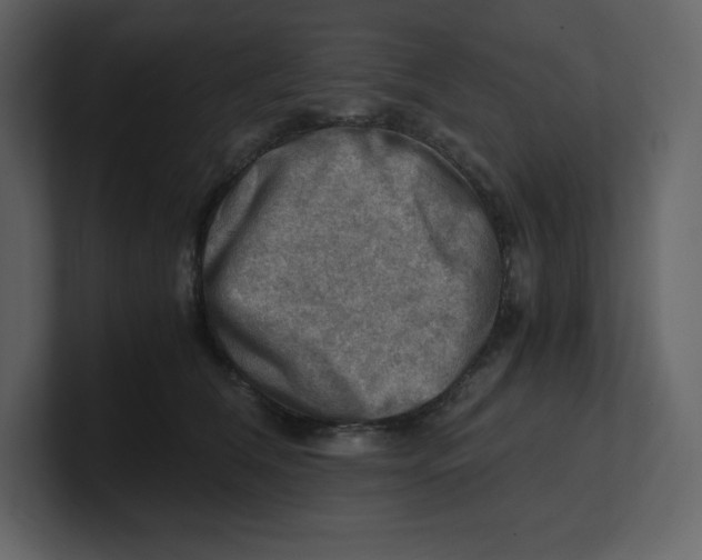 X0000100930612200807151245