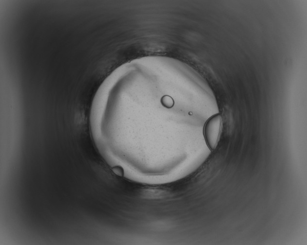 X0000100930614200807151245