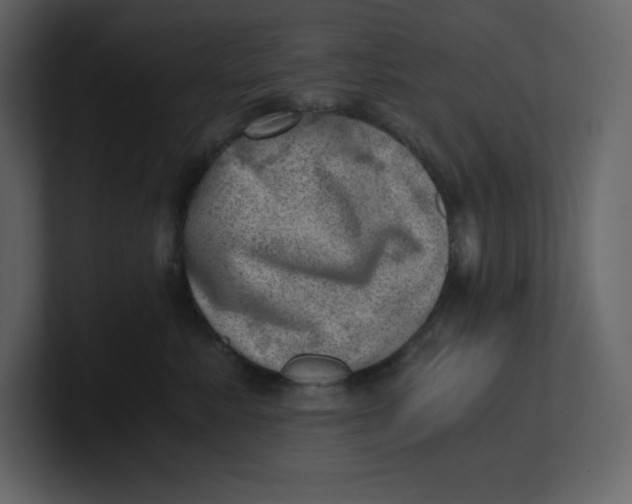 X0000100930619200807151245