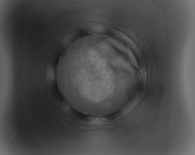 X0000100930621200807151245