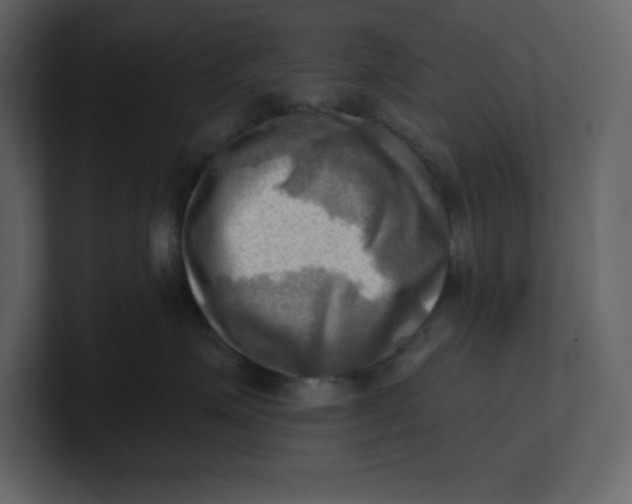 X0000100930623200807151245