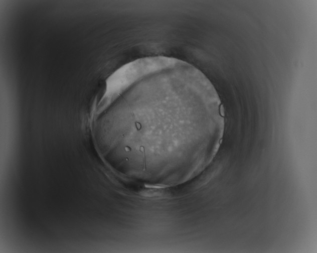 X0000100930624200807151245