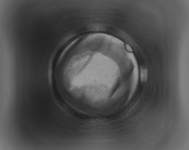 X0000100930627200807151245