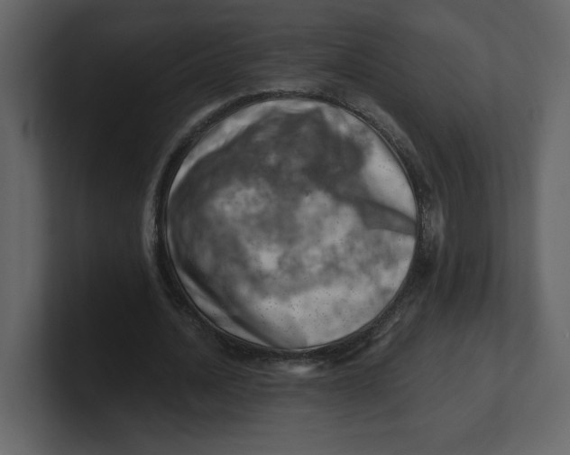 X0000100930628200807151245