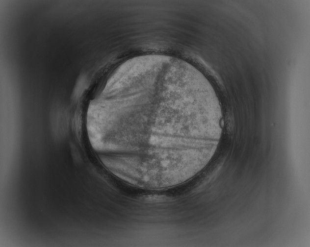 X0000100930637200807151245