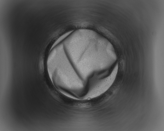 X0000100930638200807151245