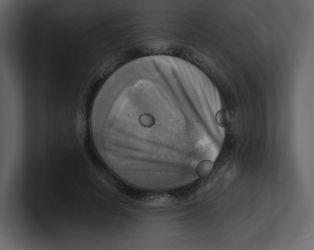 X0000100930642200807151245