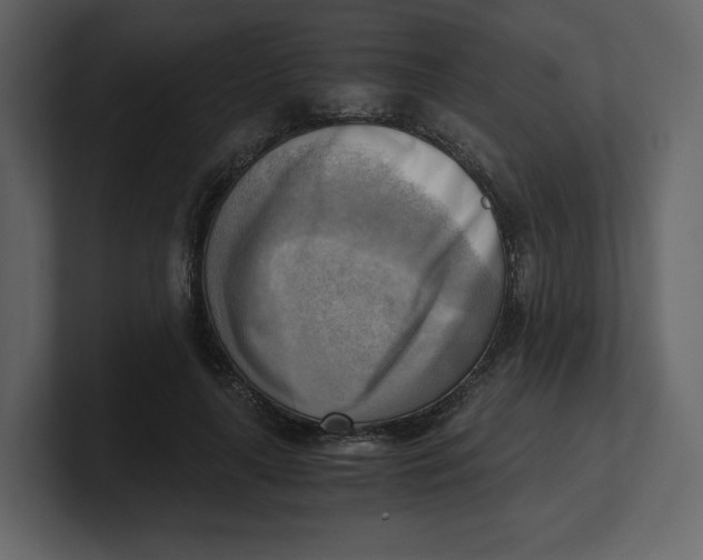 X0000100930643200807151245