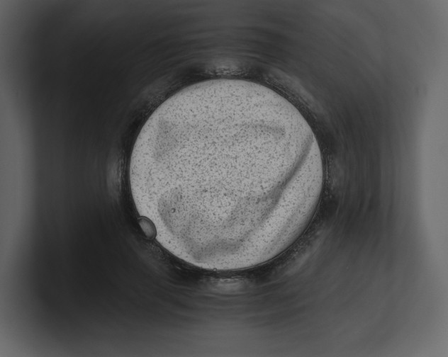 X0000100930645200807151245