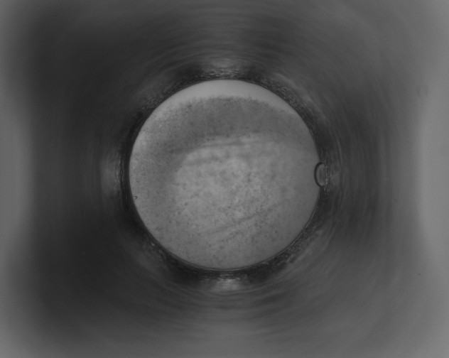 X0000100930647200807151245