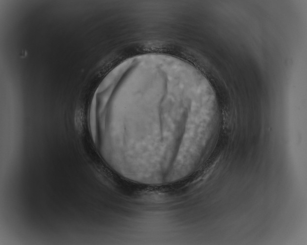 X0000100930648200807151245