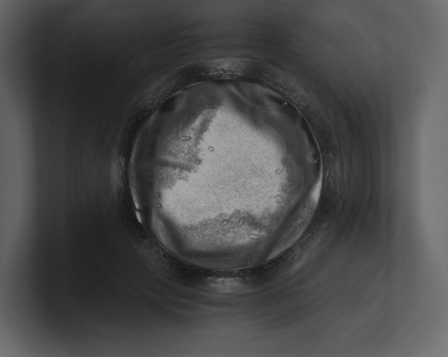 X0000100930649200807151245