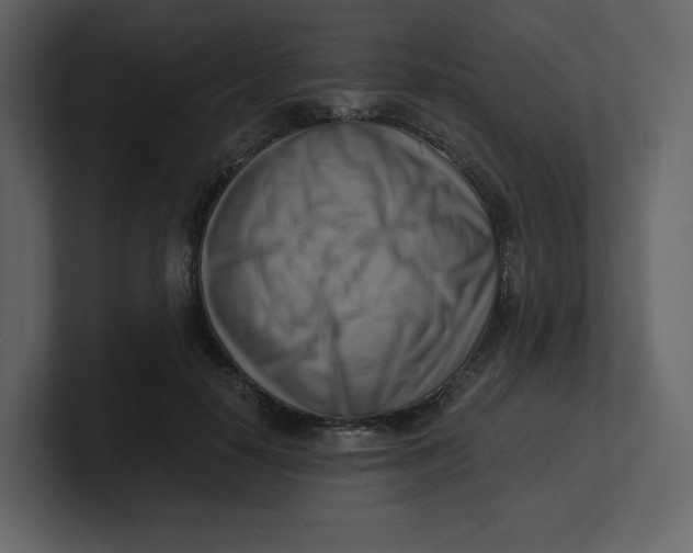 X0000100930650200807151245