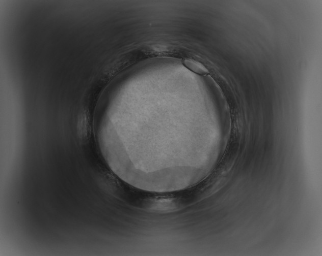 X0000100930651200807151245