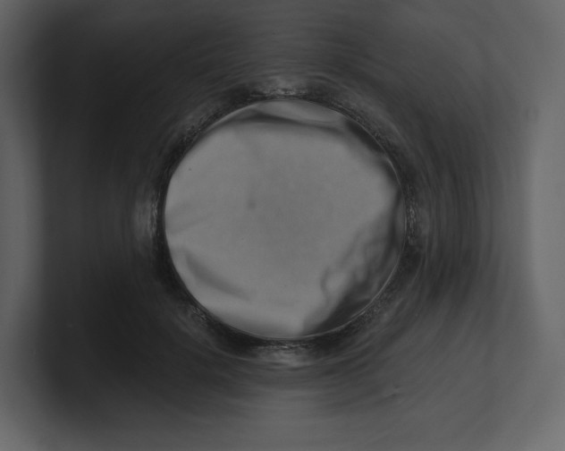 X0000100930652200807151245